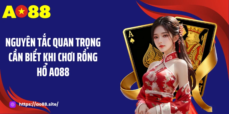 Rồng Hổ AO88: Game Bài Kịch Tính Với Nhịp Độ Nhanh